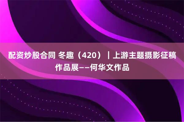 配资炒股合同 冬趣（420）｜上游主题摄影征稿作品展——何华文作品