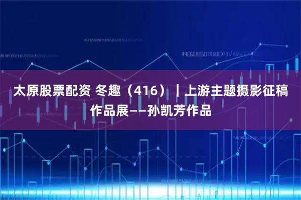 太原股票配资 冬趣（416）｜上游主题摄影征稿作品展——孙凯芳作品